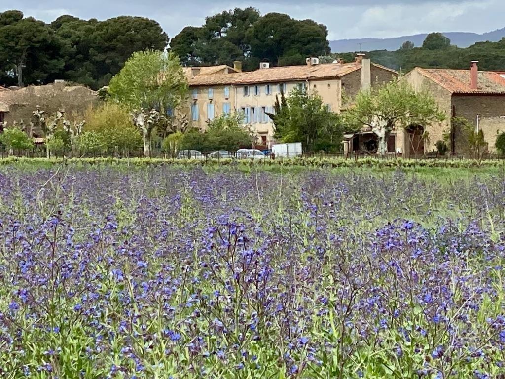 Bed and Breakfast Le Relais D'Affiac Peyriac-Minervois Екстер'єр фото