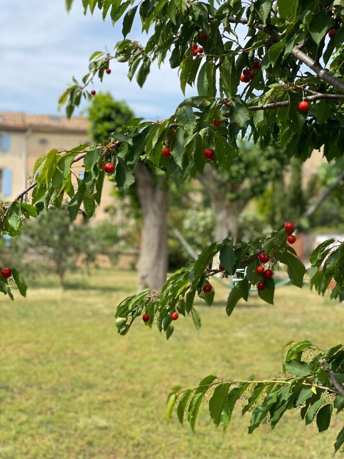 Bed and Breakfast Le Relais D'Affiac Peyriac-Minervois Екстер'єр фото